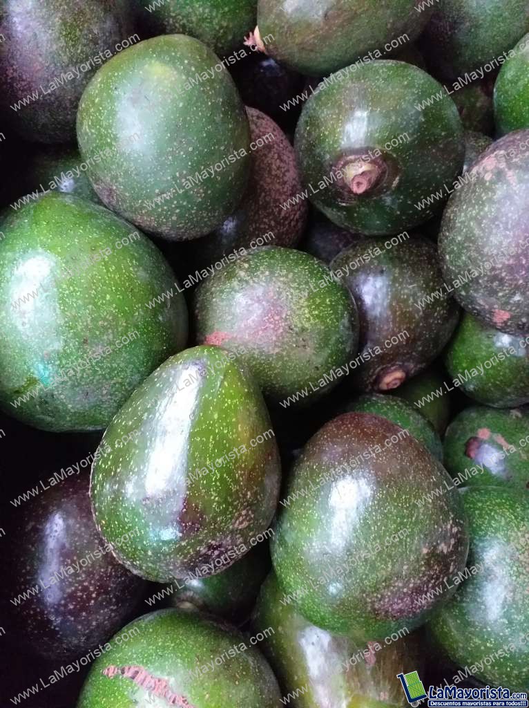 Aguacate collin