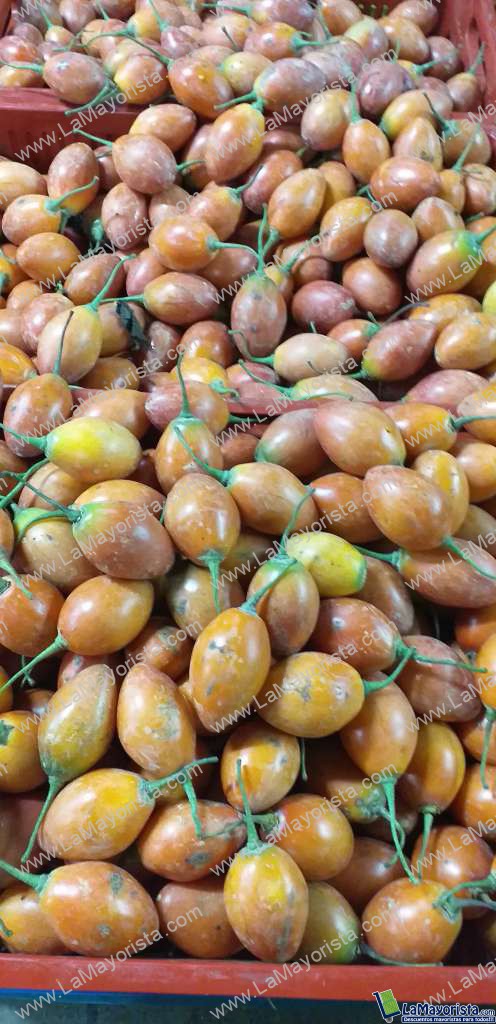 Tomate de arbol