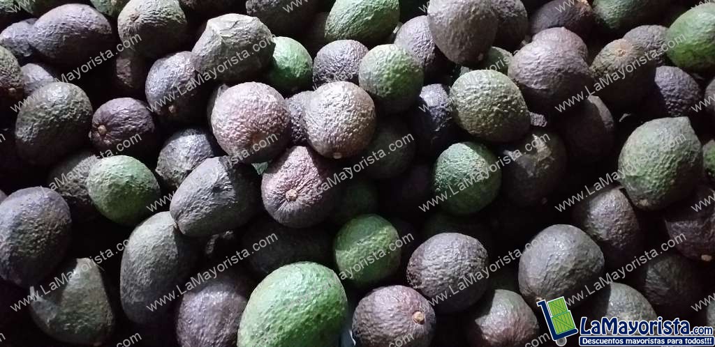 Aguacate hass