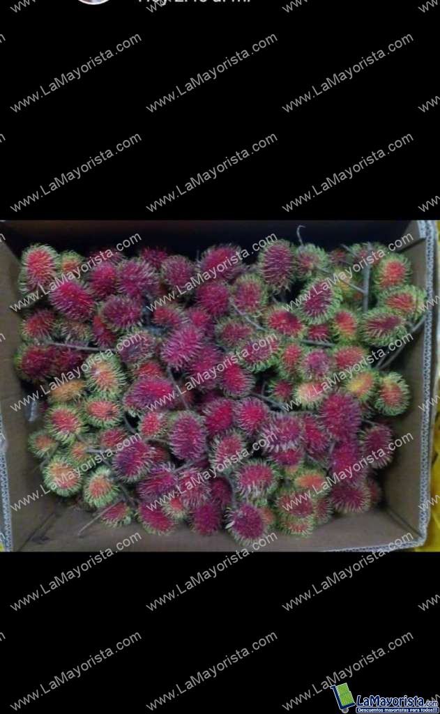 Rambutan