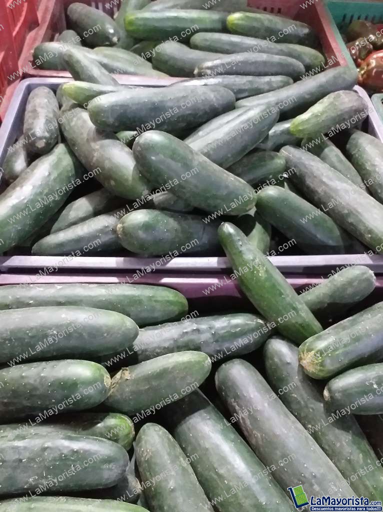 Pepino cohombro