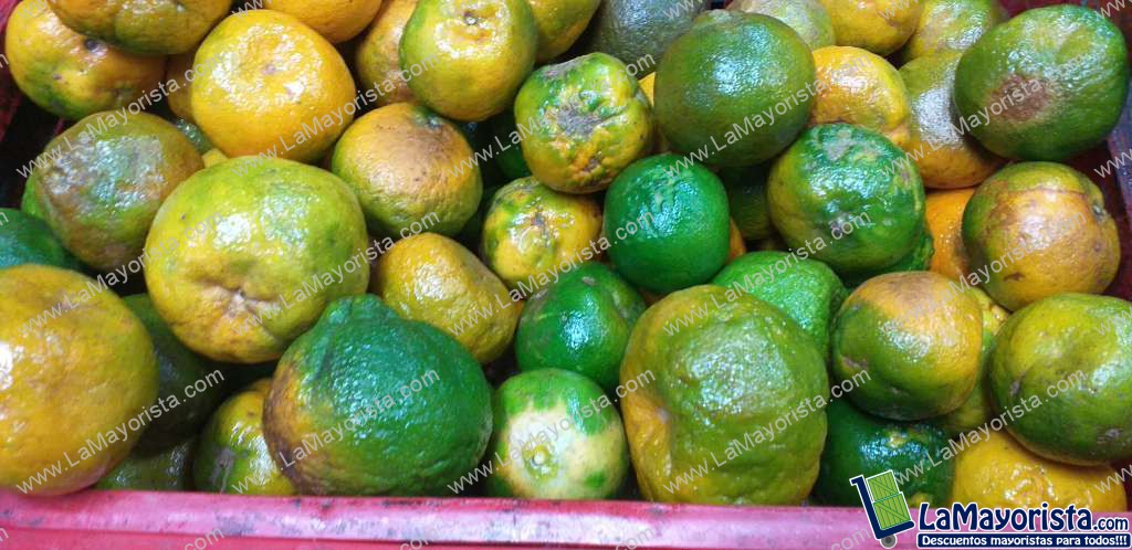 Mandarina oneca