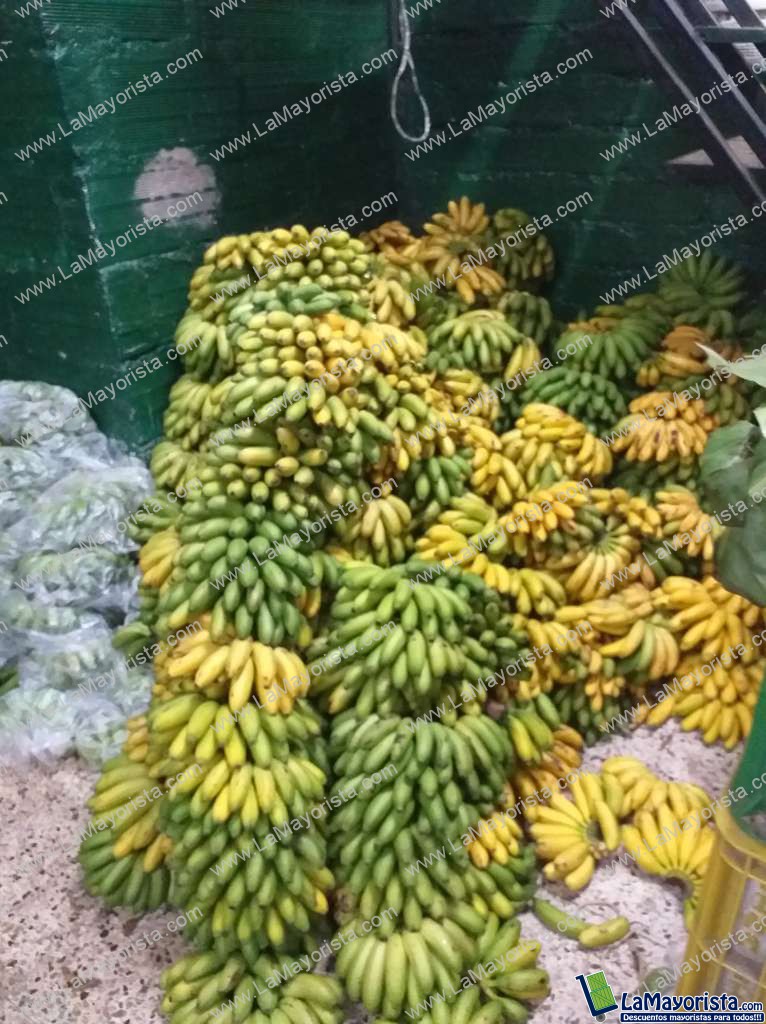 Murrapo