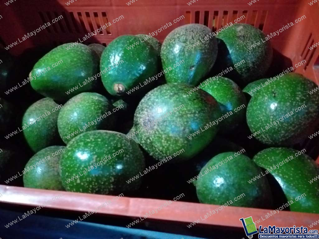Aguacate collin