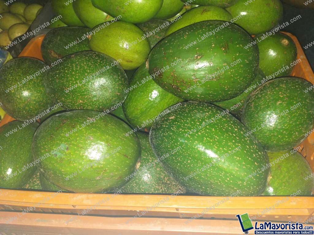 Aguacate choquette