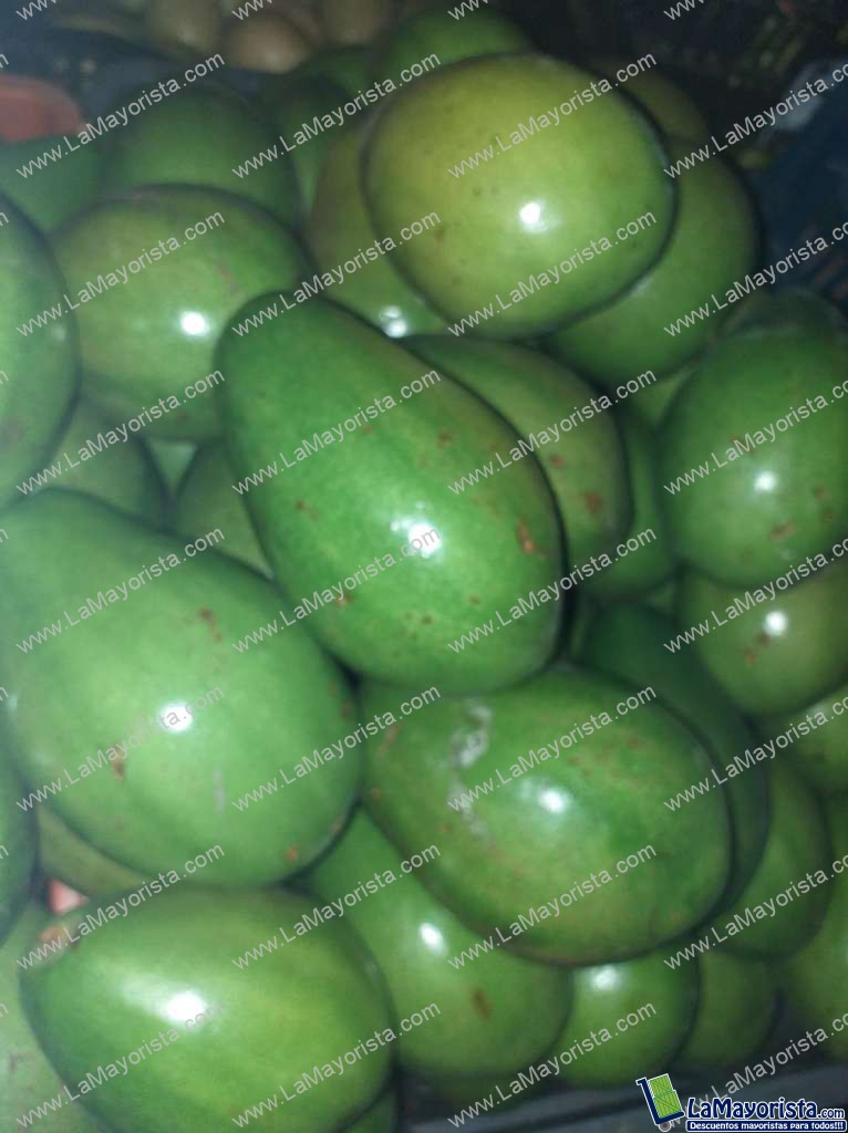 Aguacate papelillo