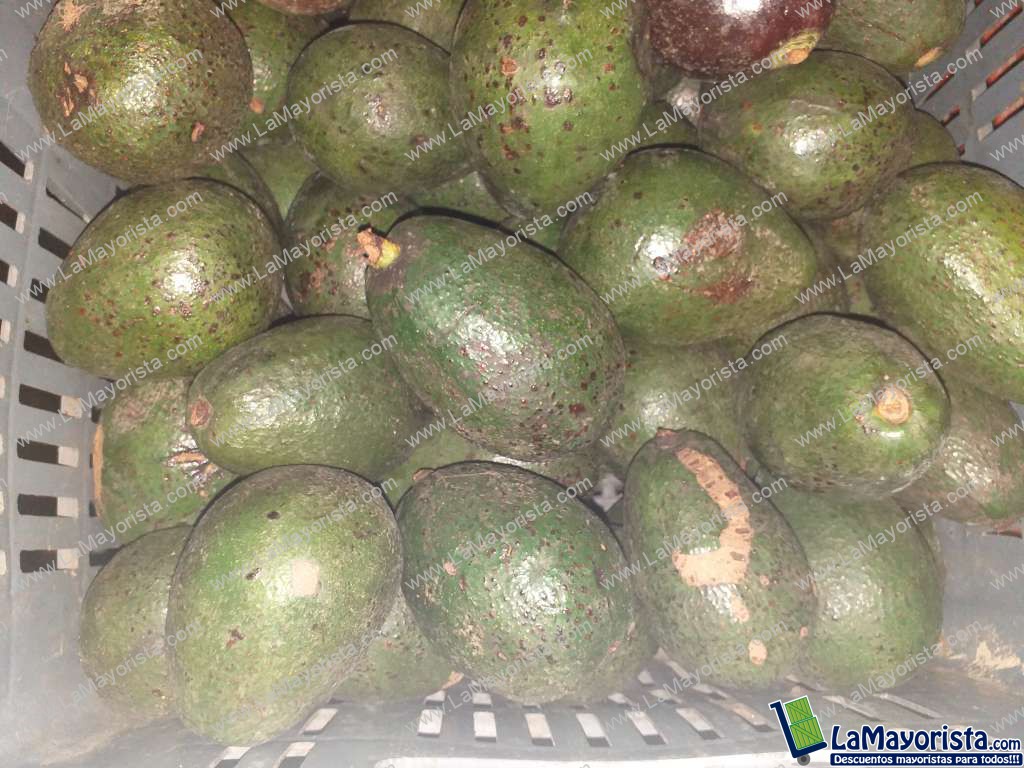 Aguacate hass
