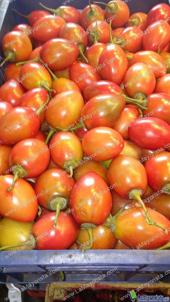 Tomate de árbol