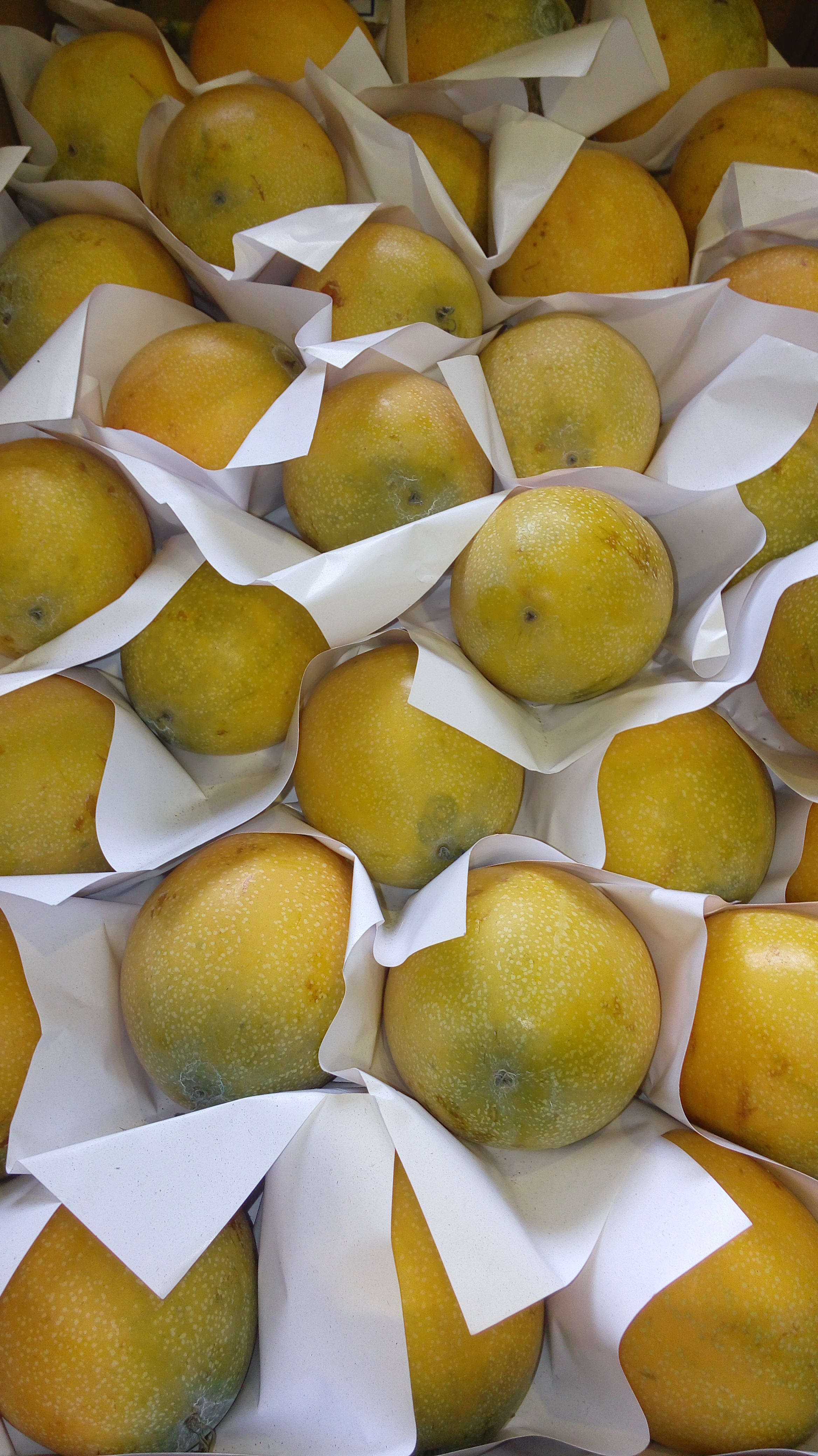 Granadilla