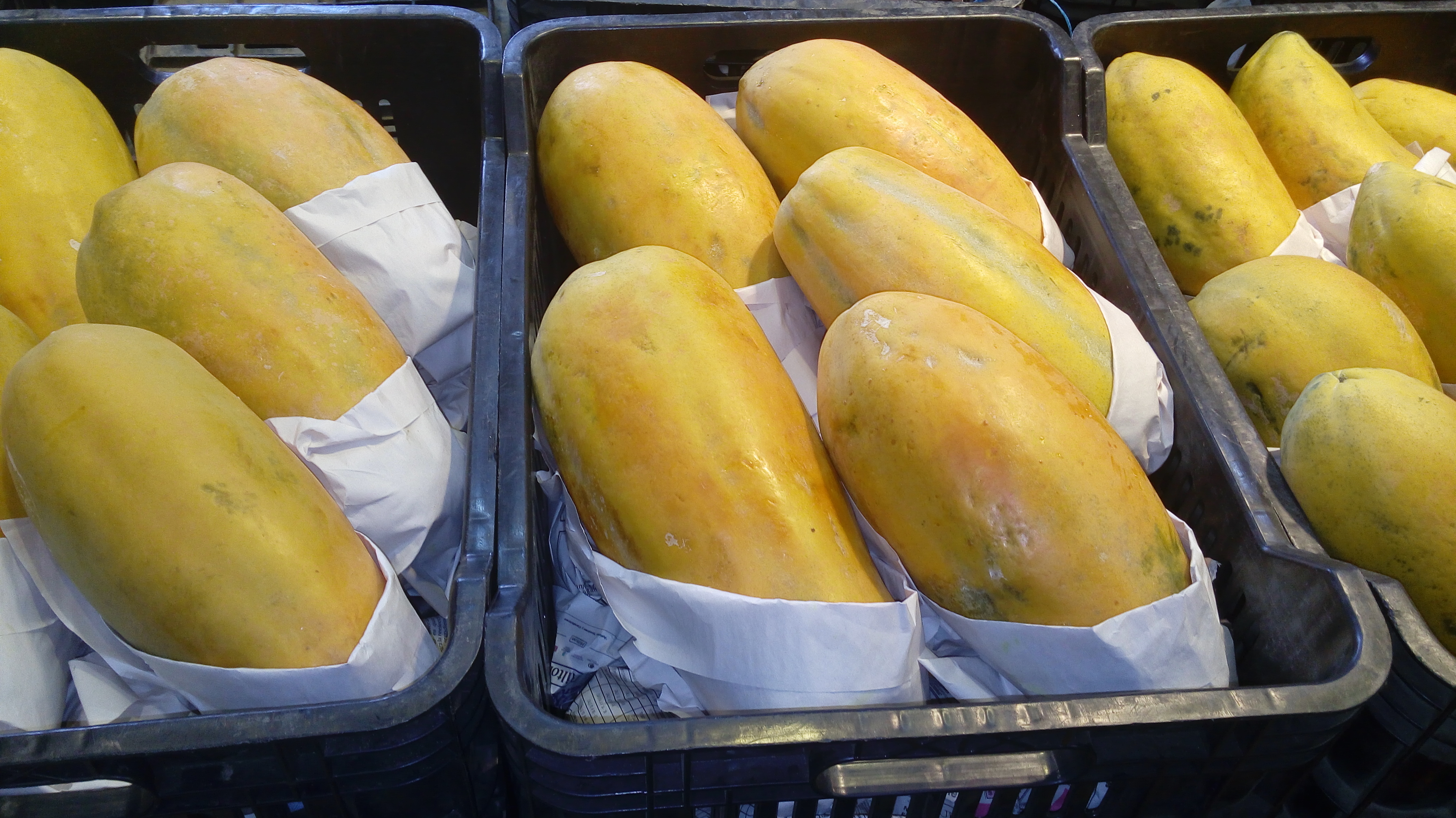 Papaya