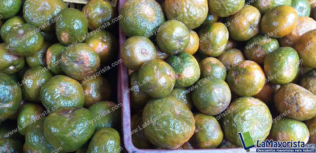Mandarina oneca