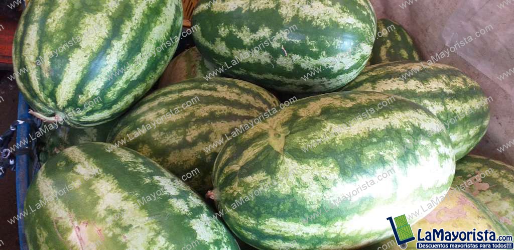Sandia baby