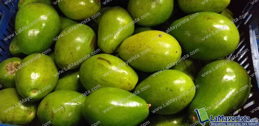 Aguacate papelillo