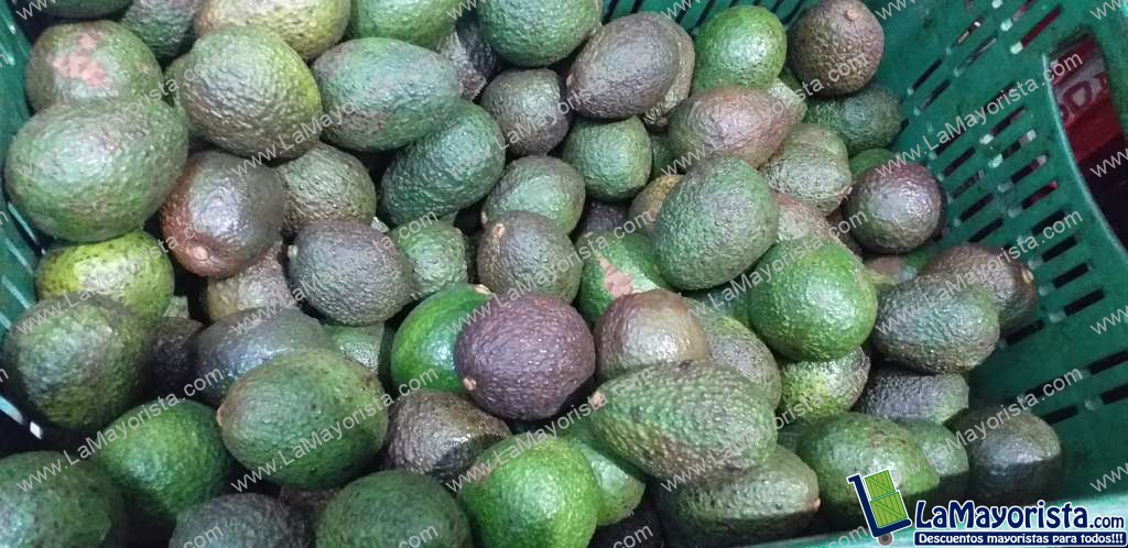 Aguacate hass