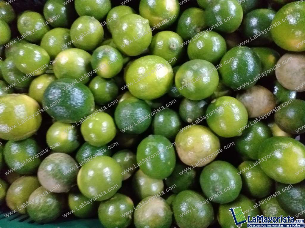 Limon tahiti