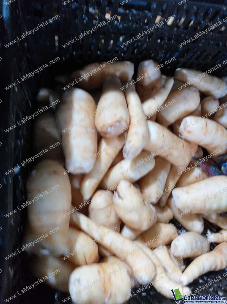 Arracacha seleccionada