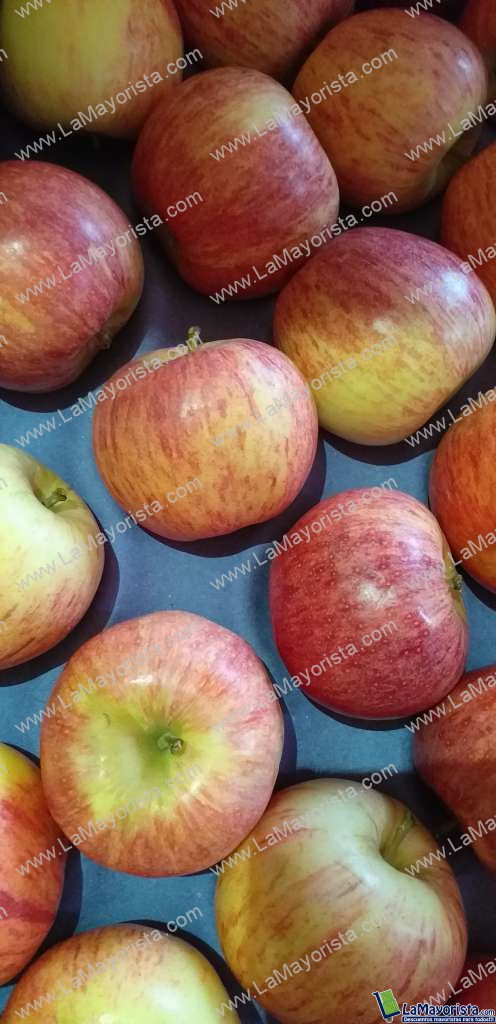 Manzana gala