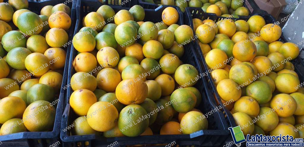 Naranja valencia