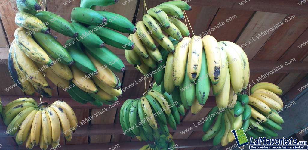 Banano criollo