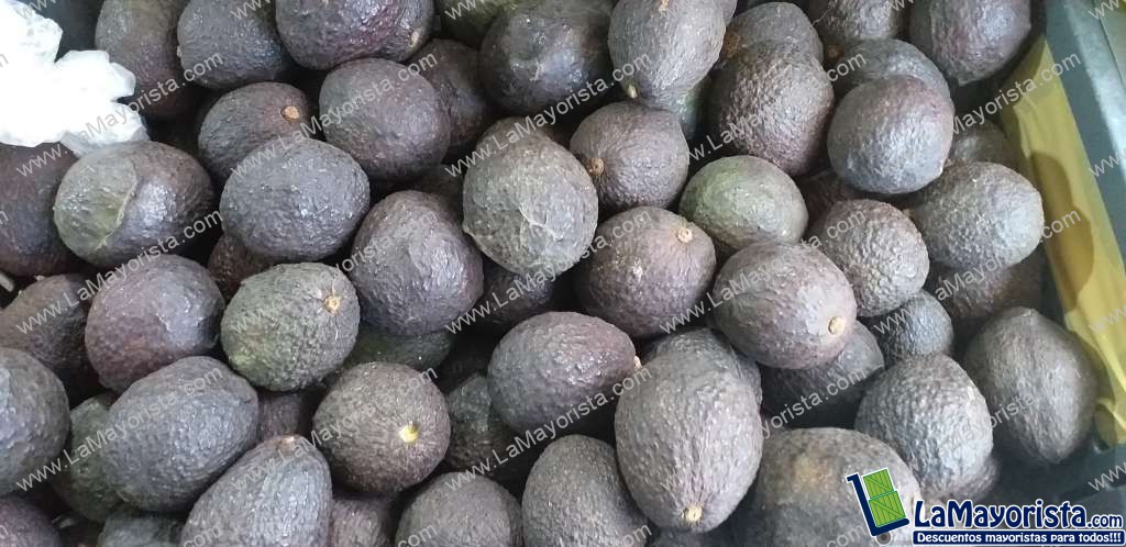 Aguacate hass