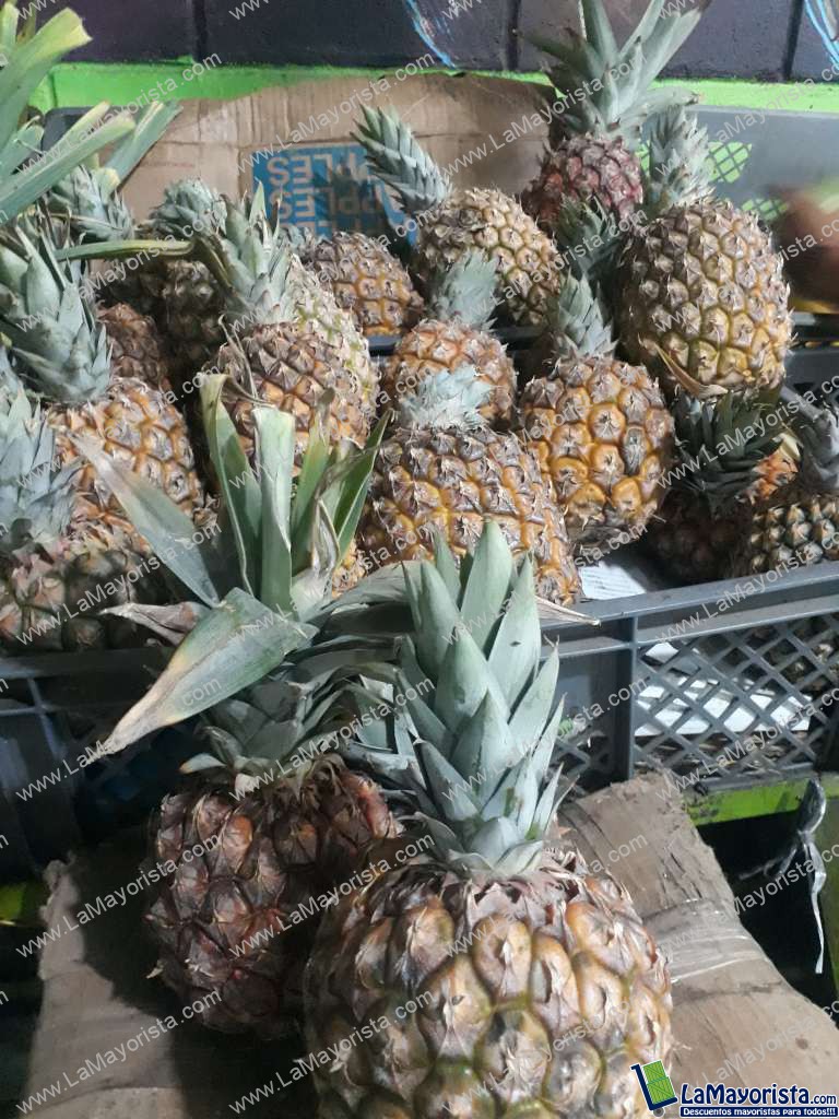 Piña x15u