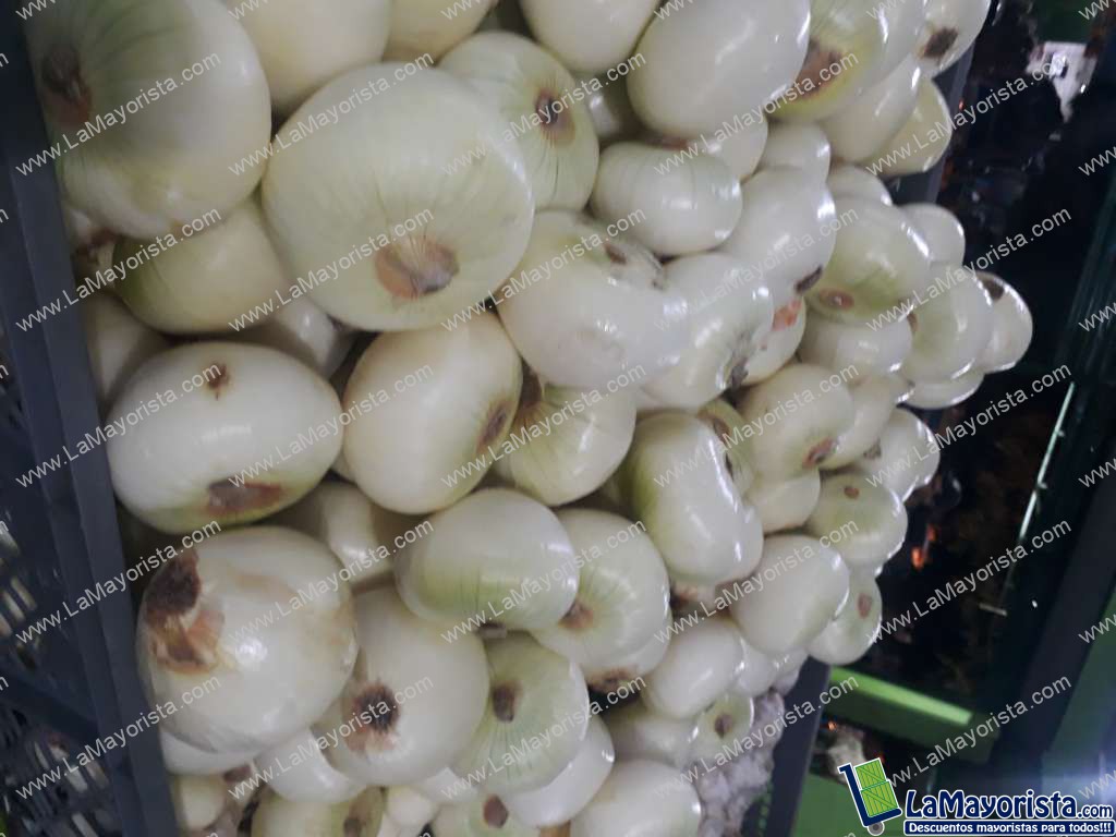 Cebolla blanca 50kg