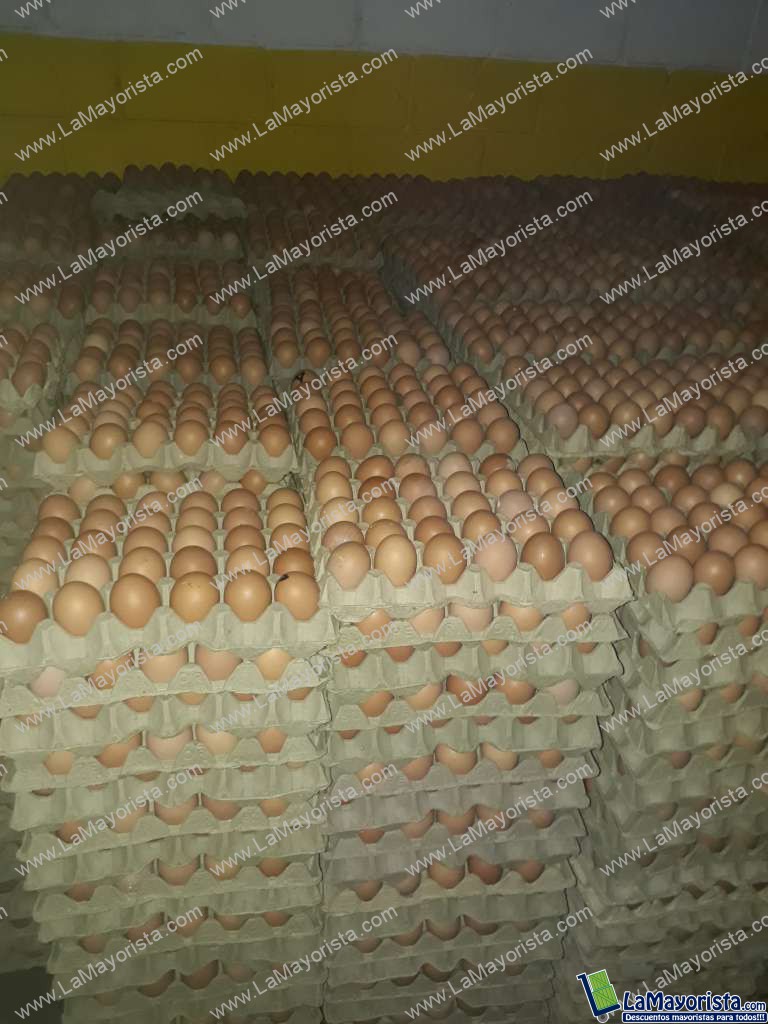 Huevo tipo A