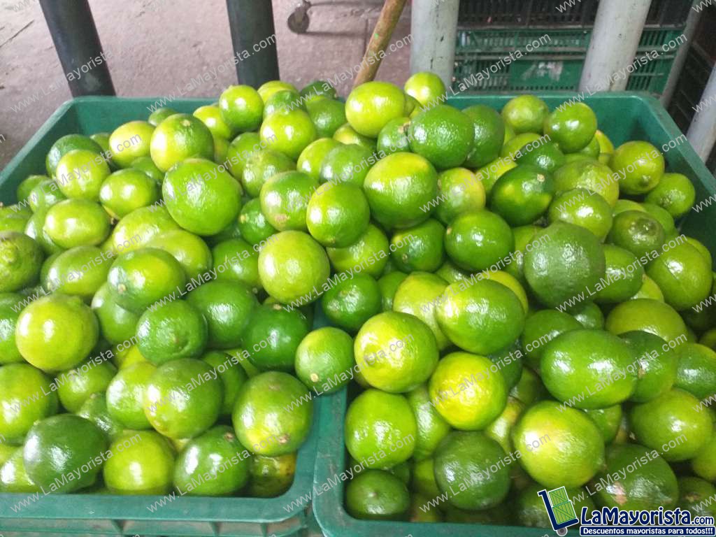 Limon tahiti