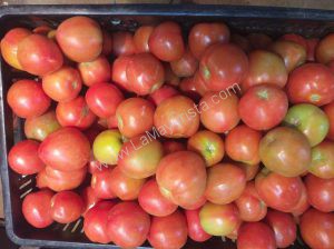 Tomate parejo