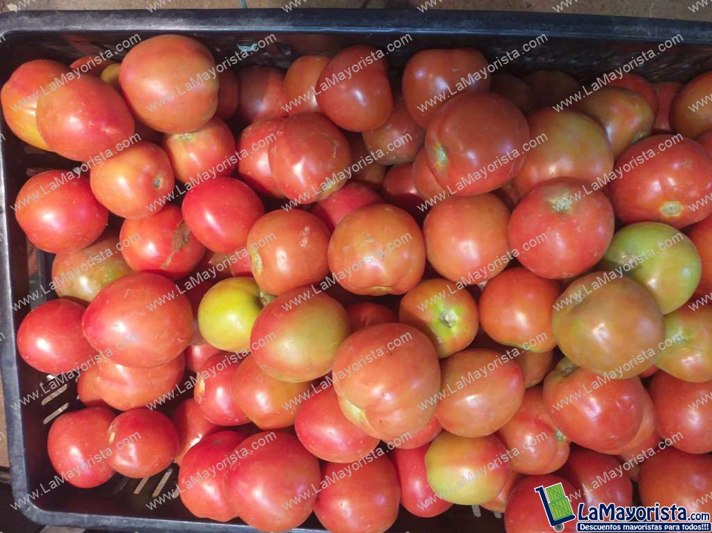 Tomate parejo
