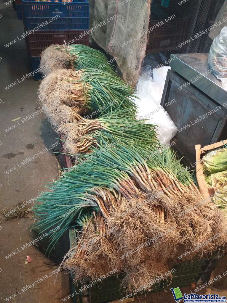 Cebolla de rama