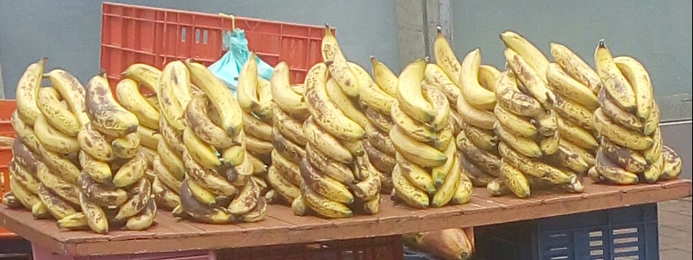 Bananos