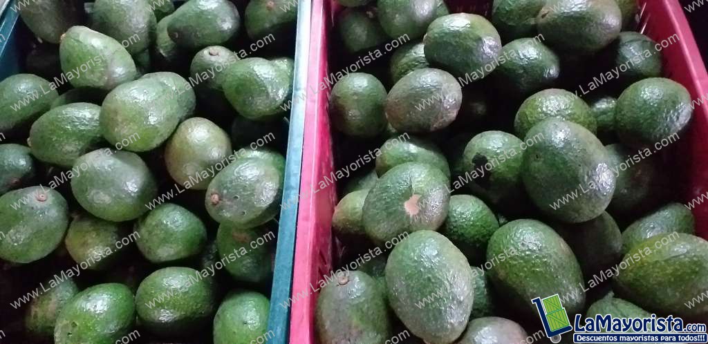 Aguacate hass