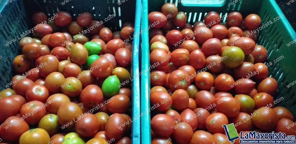 Tomate chonto parejo