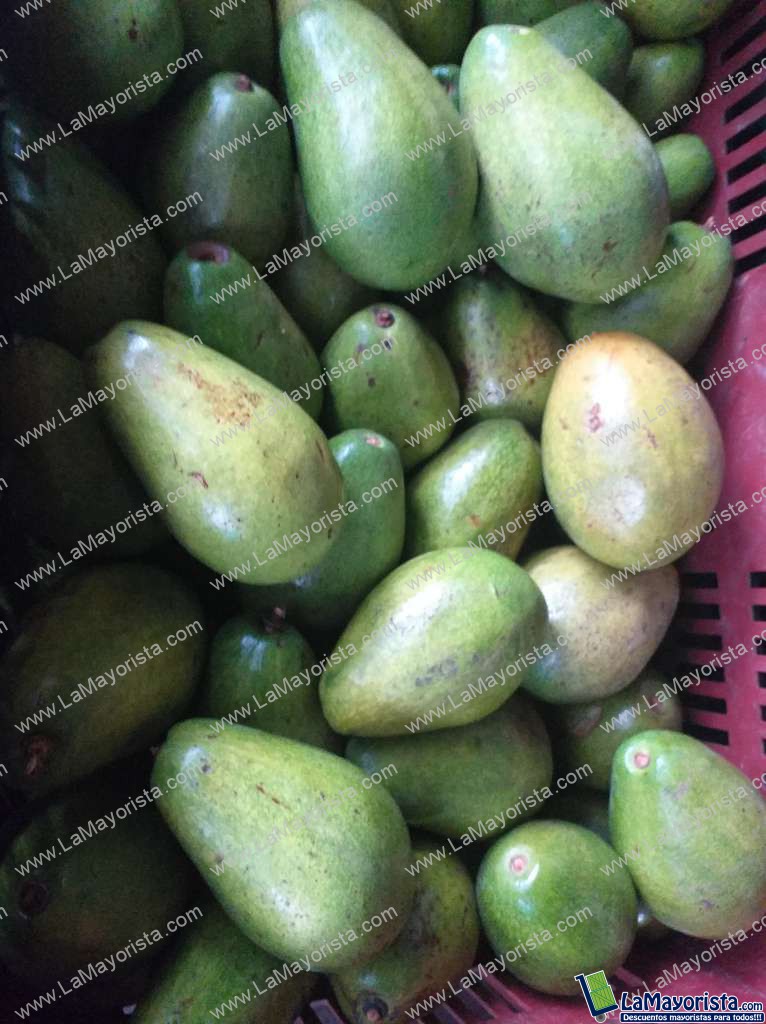 Aguacate papelillo