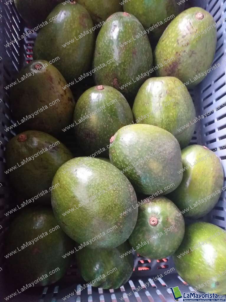 Aguacate choquette