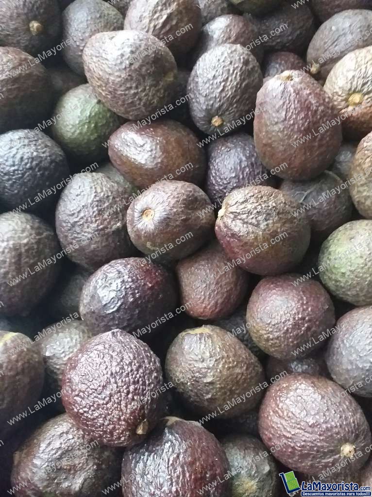 Aguacate hass