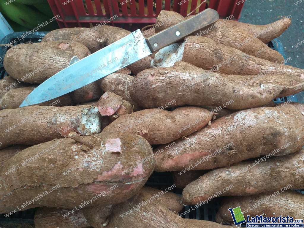 Yuca