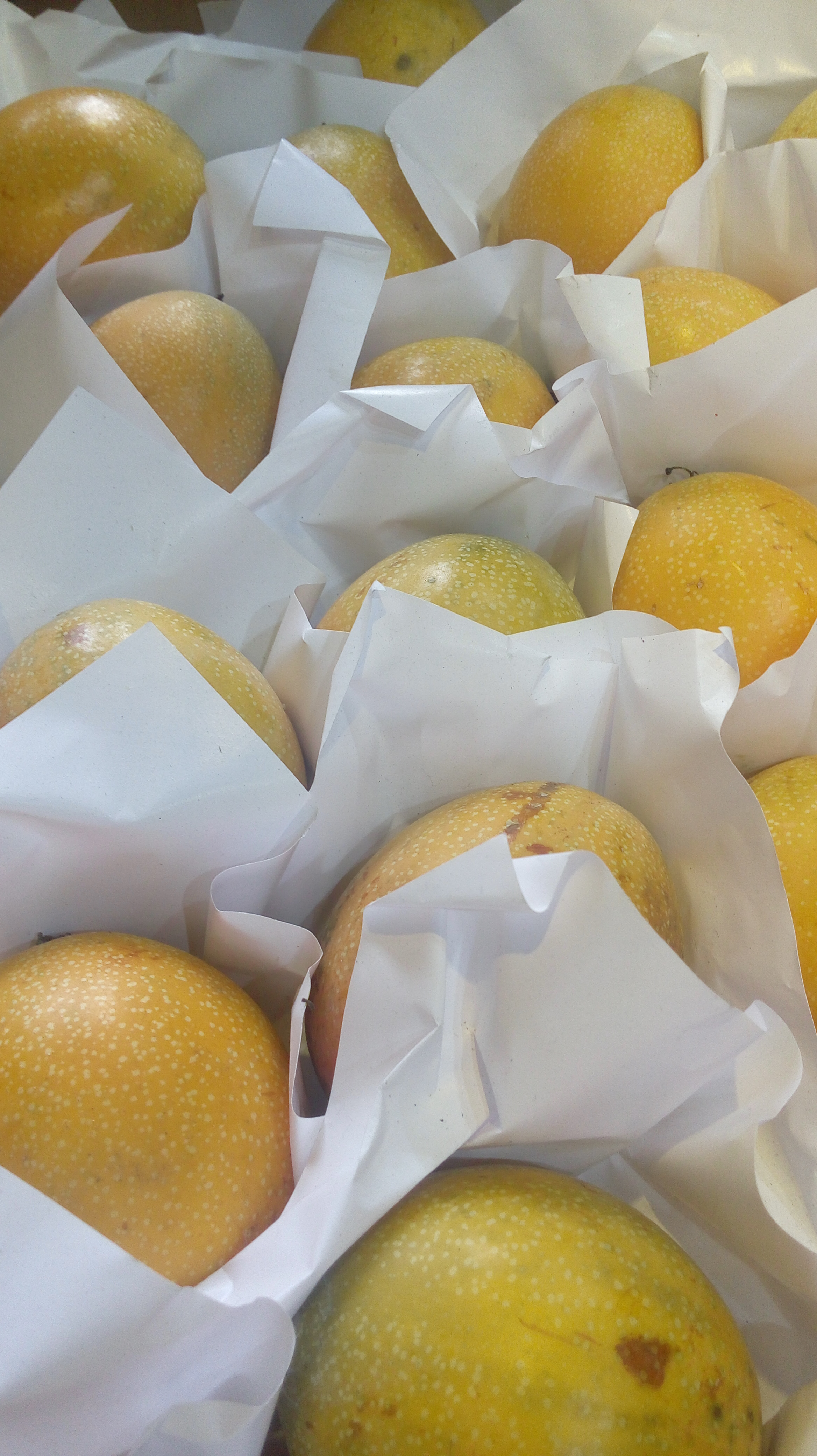 Granadilla