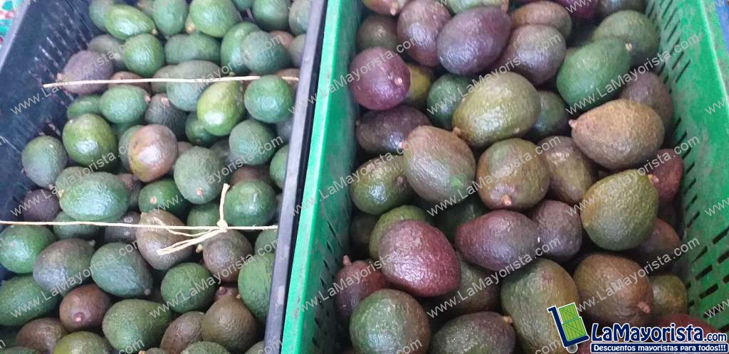 Aguacate hass