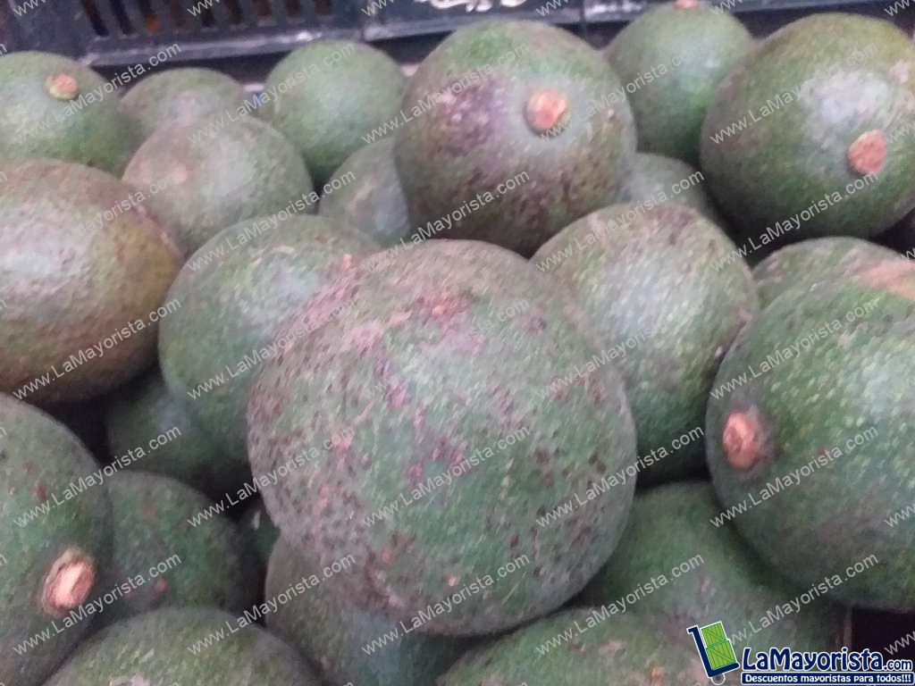Aguacate