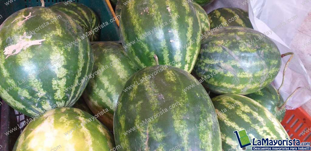 Sandia baby