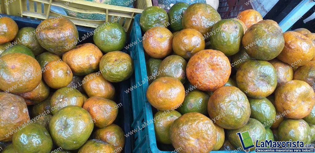 Mandarina oneca