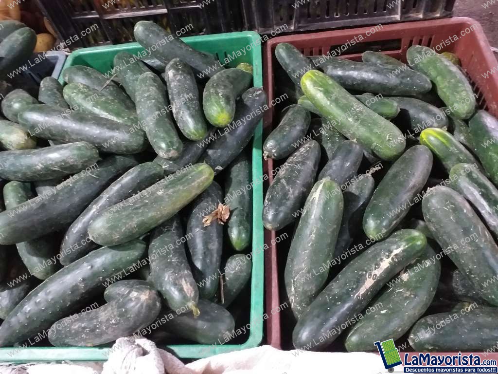 Pepino cohombro