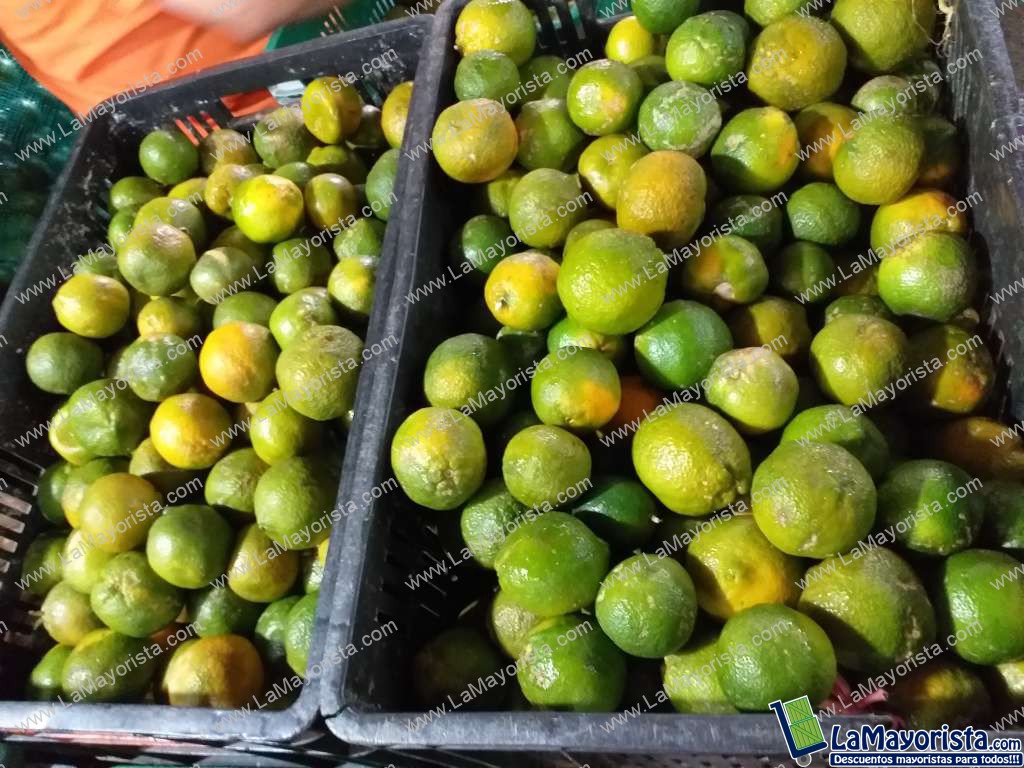 Limon mandarino