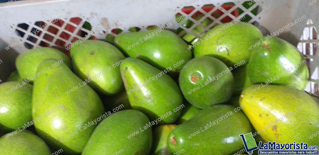 Aguacate papelillo