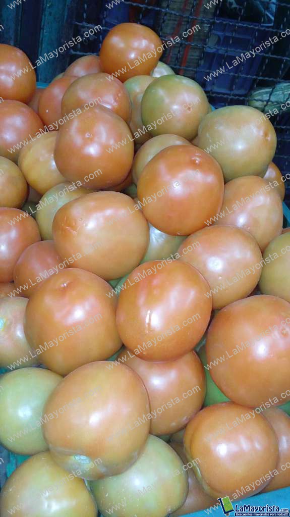 Tomate parejo 21kilos
