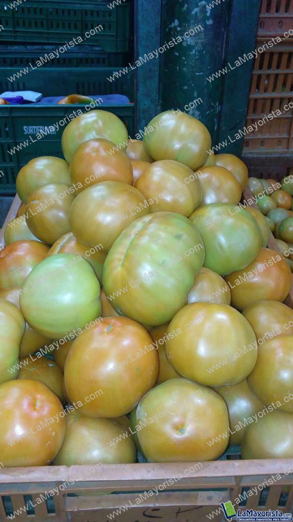 Tomate 21kilos