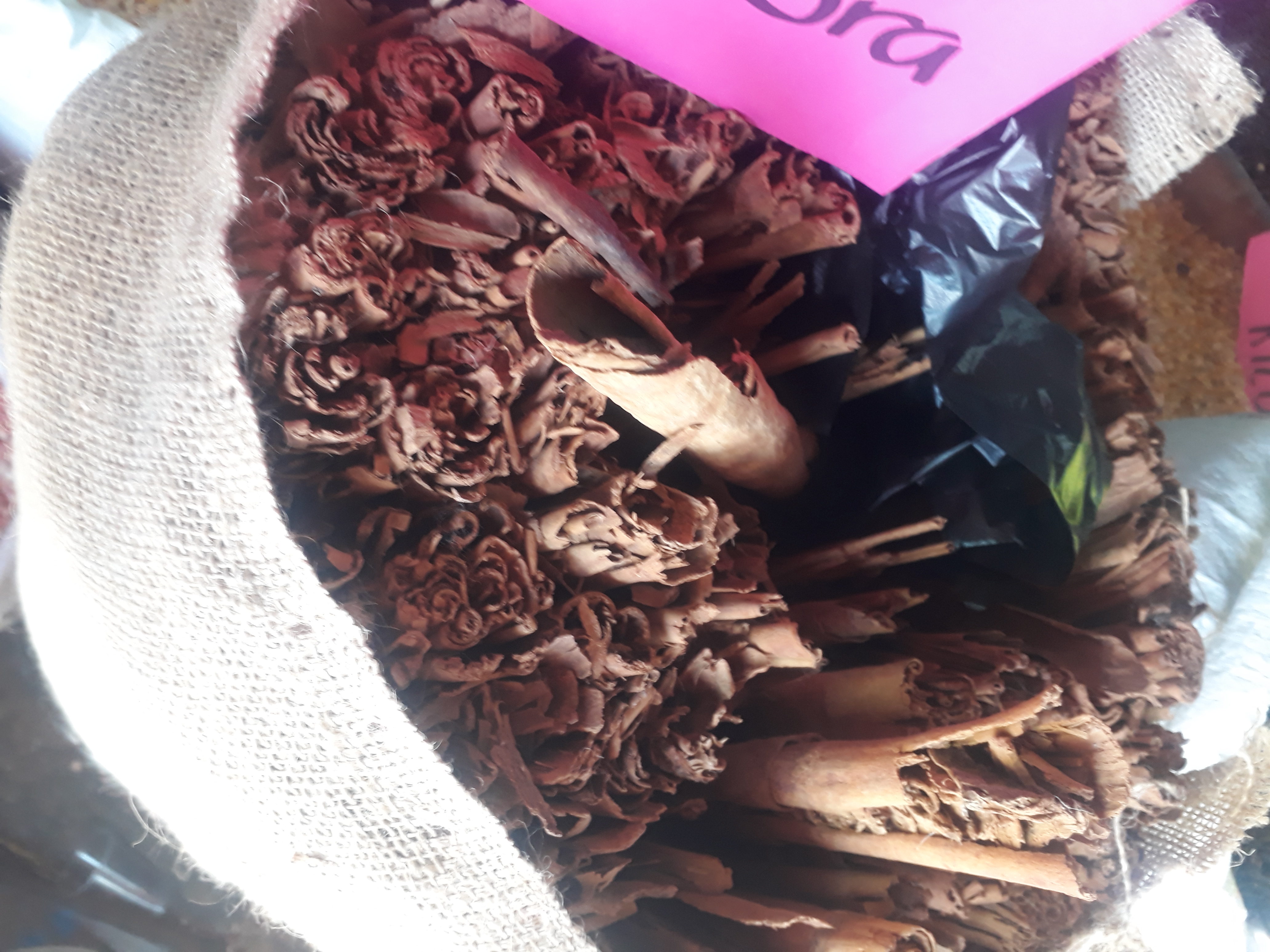Canela