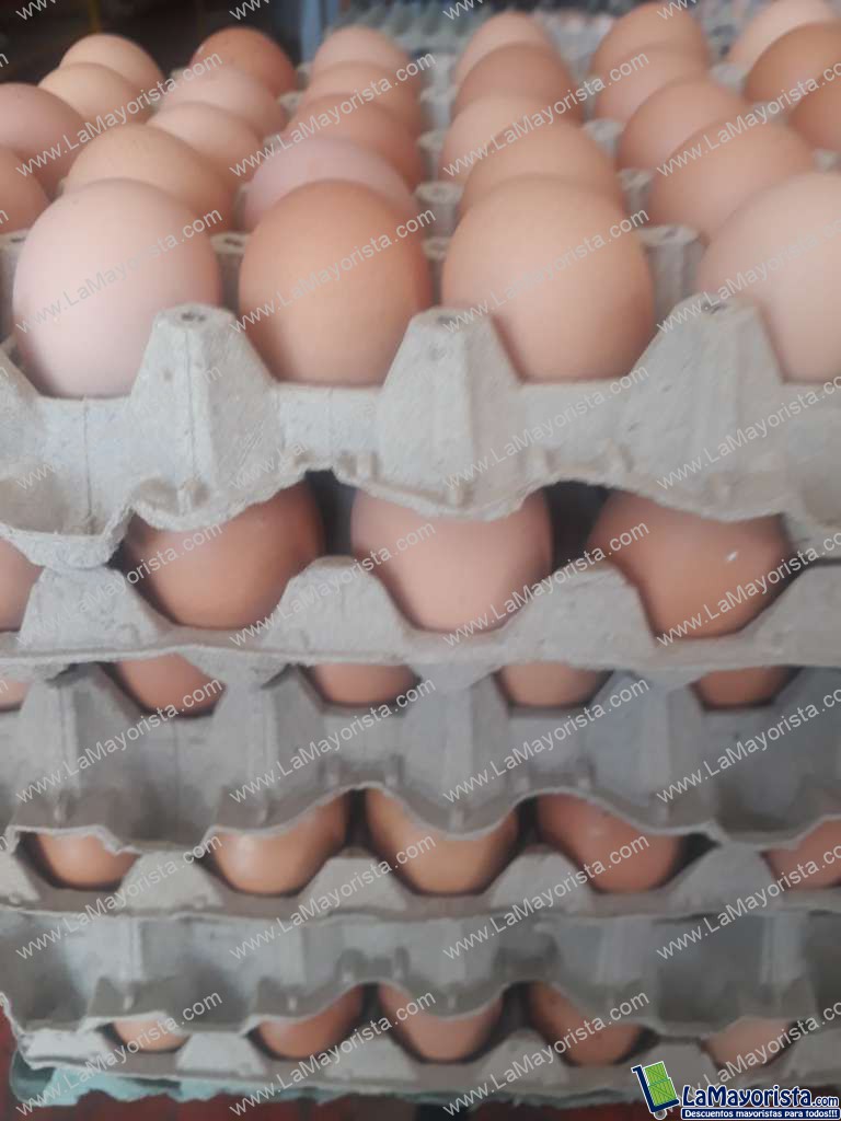 Huevo tipo A